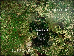 Thetford Forest map