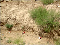 خطر ماين در ميله جا ها