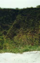 Lochnagar Crater today