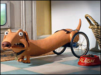 Flash, o cão salsicha