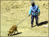 ماين پاک در حال ماين روبی