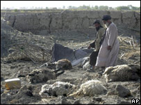 روستاييان احشامی را که در حمله هوايی ناتو کشته شده اند بررسی می کنند