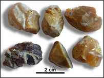 Exemplos de âmbar opaco observados pelos cientistas