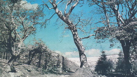 Rhan o glawr y llyfr