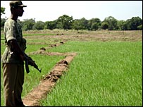 A lone guard standing near the scene of the attack (photo Athula Bandara)