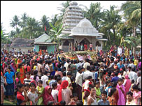 बंदरों की शादी