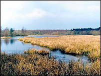 Robin Ward in the Forest of Dean has a soft spot for Woorgreen Lake