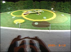 عکس از سميرا سعيدی