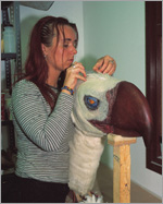 Putting feathers in one at a time