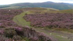 Looking towards Moel Arthur