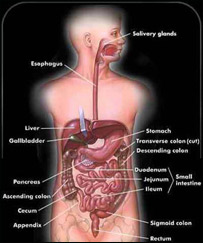 صحت و زندگی