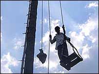 पेड़ से लटकते अपने घर के साथ गौस