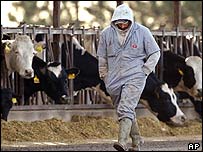 Fazenda colocada em quarentena