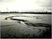 Seal Sands c/o Natural England /Peter Wakeley