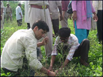 वृक्षारोपण