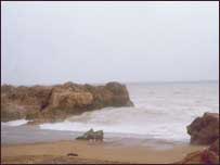 پھوکاڑا بیچ