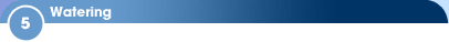 5 - Watering