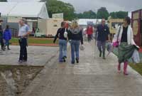 Crwydro'r maes yn gynnar fore Sadwrn