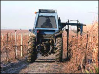 Tarlada çalışan traktör 