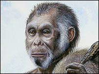 Homo floresiensis'in tahmini görünüşü