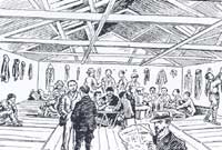 Yr oedd y lle yn berwi o lygod mawr