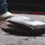 Image from 'The Wallet