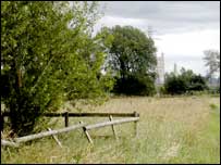 Meadow on Alney Island
