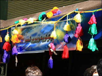 عکس از فرشاد پالیده 