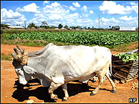 Các nước giàu cần tăng thêm viện trợ nhân đạo cho khối nước nghèo