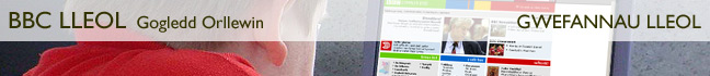 Gwefannau Lleol