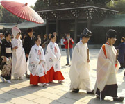 Shinto priests and shrine maidens walking across the shrine courtyard ahead of the bride, who is being sheltered from the sun by a parasol