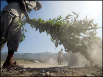 रास्ते की सफाई