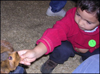 Cho thỏ ăn ở Children's Farm