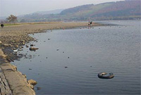 Llyn Tegid