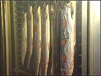 Salmon in smokehouse
