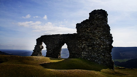 Dinas Bran