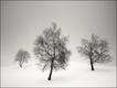 Foto: Digital Camera Photographer of the Year 2010 / Pierre Pellegrini