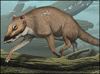 Representação artística do Indohyus