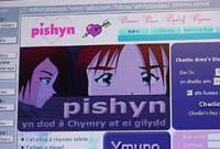 Gwefan Pishyn