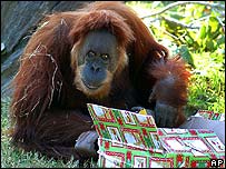 वनमानुष