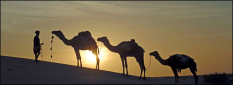a camel caravan leaving timbuktu
