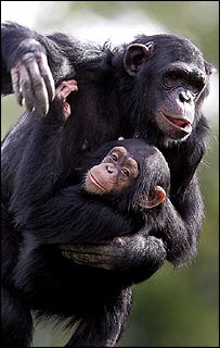 مادر و فرزند