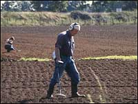 Man metal detecting in a ploughed field