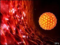 स्टेम सेल