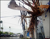 O olho do furacão passou pela cidade de San Fernando, em Tamaulipas