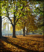 Country park workshop
