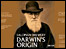 Darwin's Origin beer