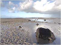 Dunes at Newborough Warren