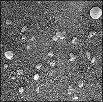 خاک مريخ از نگاه آپورچونيتی