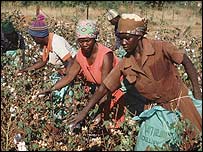 برازیل کے کاشت کاروں نے اس فیصلے پر خوشی کا اظہار کیا ہے